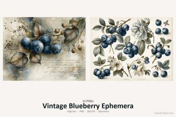 Download Vintage Blueberry Ephemera - Blueberry Collection