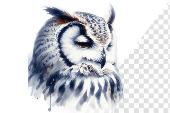 Download Wise Owl Reflections Watercolor Art - Wise owl Collection